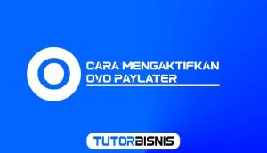 Inilah 8 Cara Mengaktifkan OVO PayLater 2023 : Syarat Dan Cara Daftar